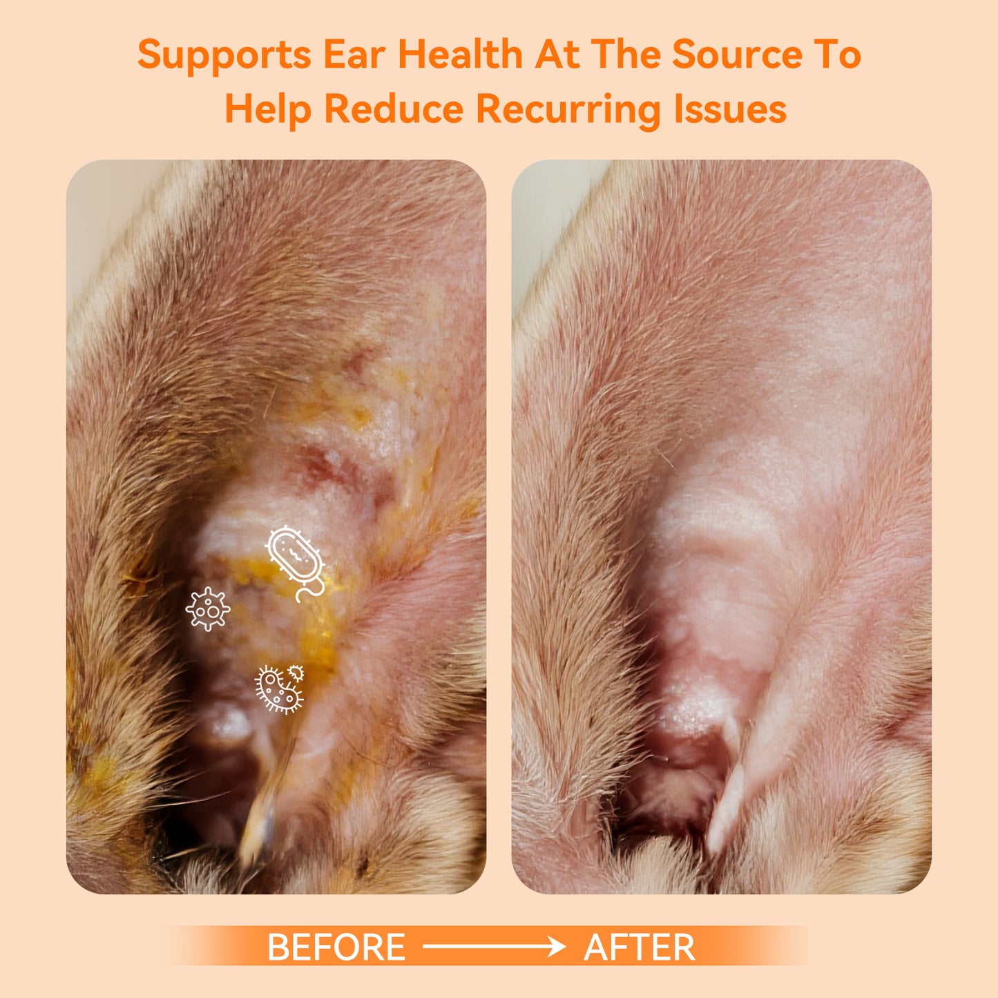 Puainta® Quantum Silver Ear Drop - Soothes itching, Cleans Earwax